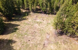 445 Buffalo Trail, Somers, MT 59932