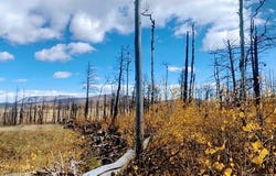 Galbreth Rd, Fort Garland, CO 81133