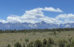 364 Jumping Tree Trail, Montrose, CO 81403
