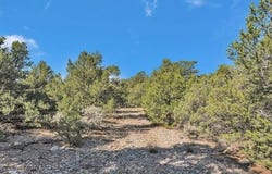 Upper Pinabete Road lot: 83, Questa, NM 87556