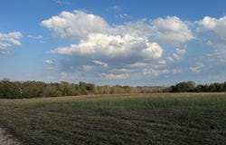 0 Squirrel Rd, New Ulm, TX 78950