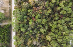 3911 EVERGREEN AVENUE, BUNNELL, FL 32110