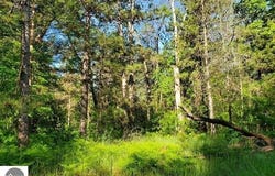 Quigley Road, Alger, MI 48610