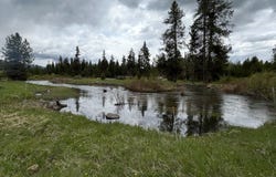 35 Atkin Lane, Cascade, ID 83611