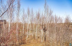 29xx W 15th St, Duluth, MN 55807