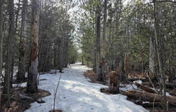 0001 Cedar River Road, Mancelona, MI 49659