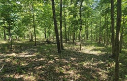 Esculapia Hollow  RD Unit #Lot 7, Rogers, AR 72758