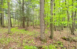 263 Jersey Hill Road, Ithaca, NY 14850