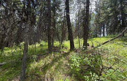 TBD KNOB HILL RD, REPUBLIC, WA 99166