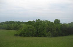 005 Buckler Lane, Olive Hill, KY 41164