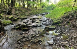 00 Oregon Road, Butternuts, NY 13776