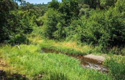 11856 Tom Ray Drive, Grass Valley, CA 95949