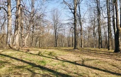 3164 DALRYMPLE ROAD, CHESAPEAKE BEACH, MD 20732