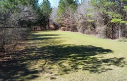 0 Graham Rd., Samantha, AL 35475