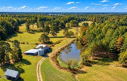 McCaney Mill Road, Lexington, TN 38351