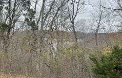 Lot 59 Cumberland Shores, Monticello, KY 42633