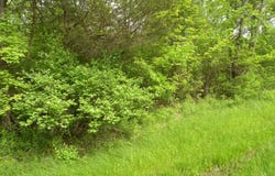 Route 9H/Oldpost Road, Ghent, NY 12075
