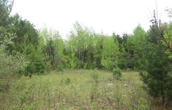 COUNTY ROAD S, SOBIESKI, WI 54171-0000
