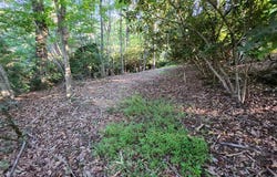 Tbd Panorama Dr, Fancy Gap, VA 24328