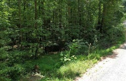 0 Jumper Drive, Ellijay, GA 30540