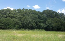590 PR 370 Road, Hubbard, TX 76648