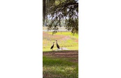 115 2ND STREET, MELROSE, FL 32666