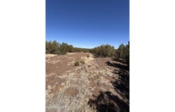19 County Road 8230, Concho, AZ 85924