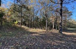 25+/-Acres S 90th Road, Flemington, MO 65650