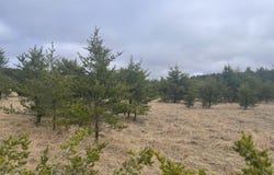 9468 N Star Ln, Crivitz, WI 54114