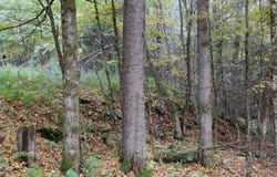 150 Lawrence Road, Windsor, NY 13865