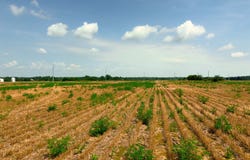 14839 Westfall Road Lot 2, Chillicothe, OH 45601