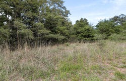 LOTS 5 & 13 CARDINAL RIDGE ESTATES, ROMNEY, WV 26757