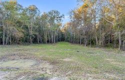 Snake Branch rd, Vernon, AL 35592