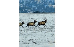 Tbd County Rd 147A, Custer, MT 59024