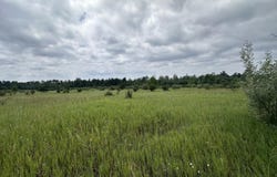 0 S M-88, Bellaire, MI 49615