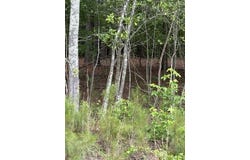 Cemetery Road, Elko, SC 29826