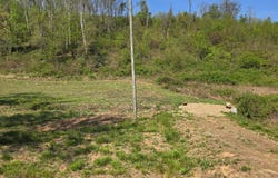 Tilley Lane, Fancy Gap, VA 24328