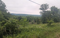 Semic Lane, Cape Fair, MO 65624
