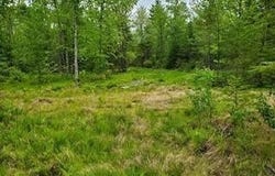 3C Winter Hill Lane, Monson, ME 04464