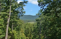 447 Emerald Ridge, Dahlonega, GA 30533