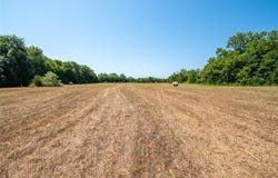 30 County Road 4515, Trenton, TX 75490