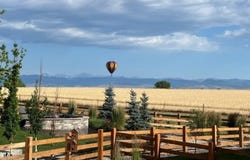 1981 Miranda Rd, Erie, CO 80516