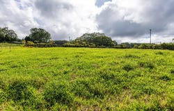 29-627-A CHIN CHUCK RD, Hakalau, HI 96710