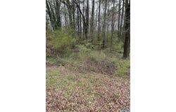 Lot 11,0.91 Ac Dry Creek Road, Cleveland, AL 35049