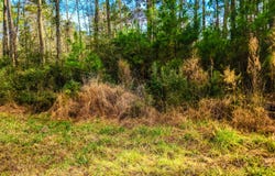 153 Oswell Brinson Road lot: 2, Merritt, NC 28556