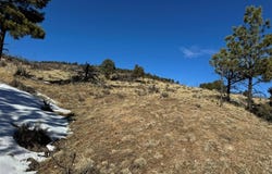 Tr 22 34th Trail, Cotopaxi, CO 81223