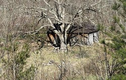 2063 Kelley Gap Road, Greeneville, TN 37743