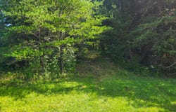0 Alberta St., Oneida, TN 37847