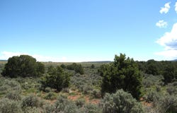 15310 DS Road, Glade Park, CO 81523