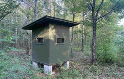 LYNN WINNON ROAD, Oak Ridge, LA 71264